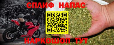 гашик Дубна