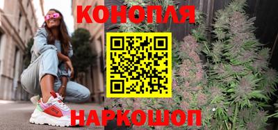 гашик Дубна
