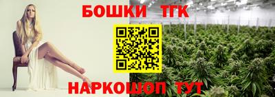гашик Дубна