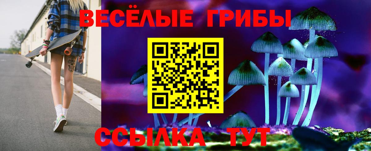 Галлюциногенные грибы ЛСД  продажа наркотиков  Армавир  Вход с VPN 