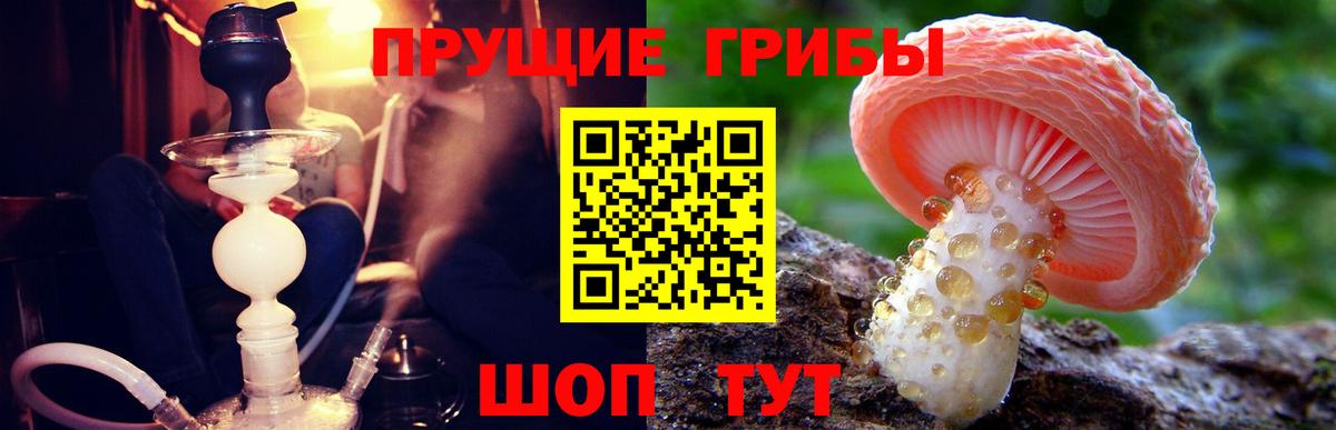 Галлюциногенные грибы Magic Shrooms Армавир